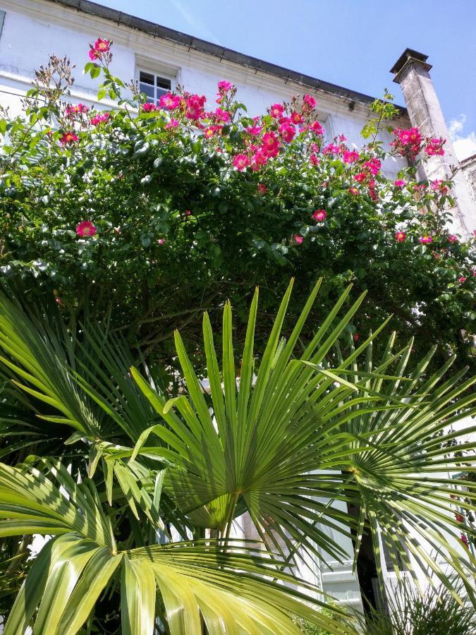 Quai Des Fleurs Bed & Breakfast Saint-Savinien Exterior photo
